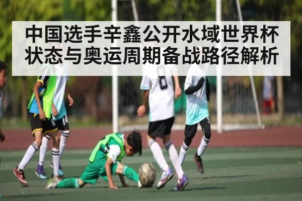 中国选手辛鑫公开水域世界杯状态与奥运周期备战路径解析