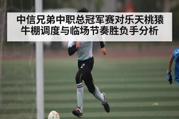 中信兄弟中职总冠军赛对乐天桃猿牛棚调度与临场节奏胜负手分析